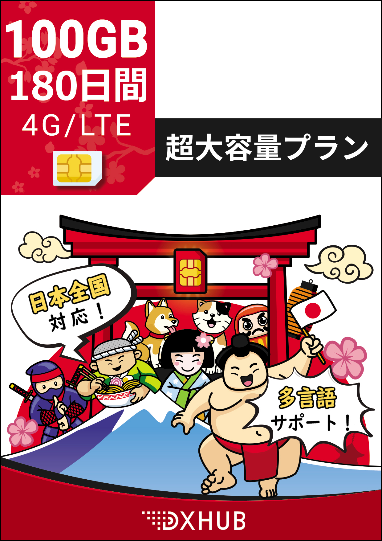 Prepaid SIM 180日間100GB